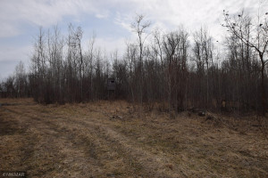 Photo for TBD 370th, Gatzke, MN 56724 - Listing #6187028 TBD 370th, Gatzke, MN 56724