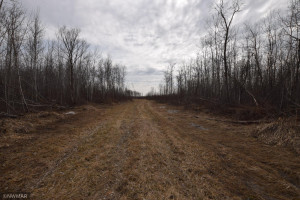 Photo for TBD 370th, Gatzke, MN 56724 - Listing #6187028 TBD 370th, Gatzke, MN 56724
