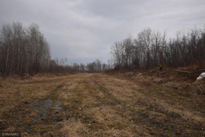 Photo for TBD 370th, Gatzke, MN 56724 - Listing #6187028 TBD 370th, Gatzke, MN 56724
