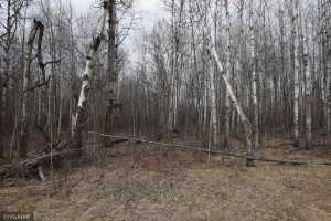 Photo for TBD 370th, Gatzke, MN 56724 - Listing #6187028 TBD 370th, Gatzke, MN 56724