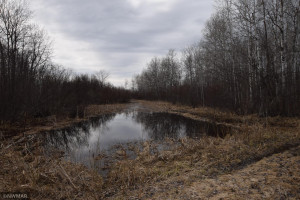 Photo for TBD 370th, Gatzke, MN 56724 - Listing #6187028 TBD 370th, Gatzke, MN 56724