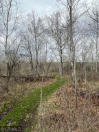 Photo for 14033 Leaf River Road, Wadena, MN 56482 - Listing #6194181 14033 Leaf River Road, Wadena, MN 56482