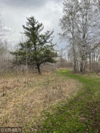 Photo for 14033 Leaf River Road, Wadena, MN 56482 - Listing #6194181 14033 Leaf River Road, Wadena, MN 56482
