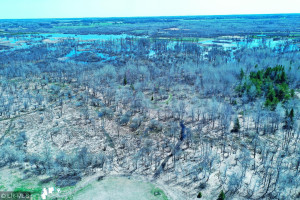 Photo for 14033 Leaf River Road, Wadena, MN 56482 - Listing #6194181 14033 Leaf River Road, Wadena, MN 56482