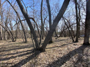 Photo for xxx Turtle Bay Ln, Perham, MN 56573 - Listing #6195210 xxx Turtle Bay Ln, Perham, MN 56573