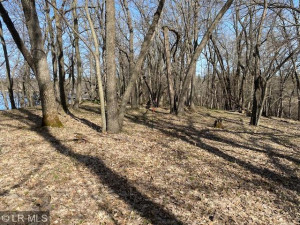 Photo for xxx Turtle Bay Ln, Perham, MN 56573 - Listing #6195210 xxx Turtle Bay Ln, Perham, MN 56573
