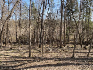 Photo for xxx Turtle Bay Ln, Perham, MN 56573 - Listing #6195210 xxx Turtle Bay Ln, Perham, MN 56573
