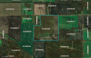 Photo for TBD Co Rd 114, Roseau, MN 56751 - Listing #6195293 TBD Co Rd 114, Roseau, MN 56751