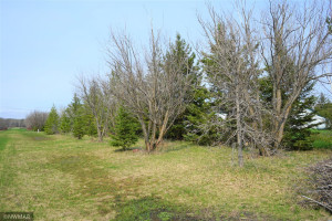 Photo for 47872 326th Street, Salol, MN 56756 - Listing #6195596 47872 326th Street, Salol, MN 56756