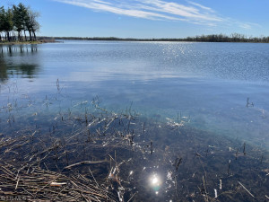 Photo for 42xxx Engstrom Beach Road, Dent, MN 56528 - Listing #6191307 42xxx Engstrom Beach Road, Dent, MN 56528