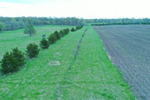 Photo for Co Hwy 41 415th St, Vergas, MN 56587 - Listing #6165028 Co Hwy 41 415th St, Vergas, MN 56587