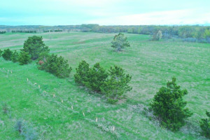 Photo for Co Hwy 41 415th St, Vergas, MN 56587 - Listing #6165028 Co Hwy 41 415th St, Vergas, MN 56587