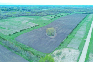 Photo for Co Hwy 41 415th St, Vergas, MN 56587 - Listing #6165028 Co Hwy 41 415th St, Vergas, MN 56587