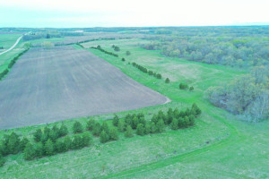 Photo for Co Hwy 41 415th St, Vergas, MN 56587 - Listing #6165028 Co Hwy 41 415th St, Vergas, MN 56587