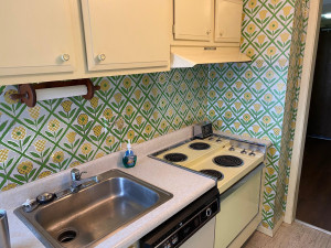 334 Cherokee #206 - 2.jpg