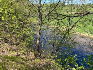 Photo for 47465 County Highway 13, Perham, MN 56573 - Listing #6203841 47465 County Highway 13, Perham, MN 56573