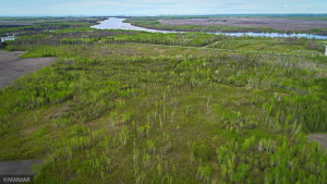 Photo for TBD State Hwy 172 Cliff, Baudette, MN 56623 - Listing #6194458 TBD State Hwy 172 Cliff, Baudette, MN 56623