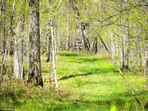 Photo for TBD Cnty 39, Laporte, MN 56461 - Listing #6216308 TBD Cnty 39, Laporte, MN 56461