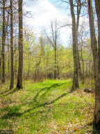Photo for TBD Cnty 39, Laporte, MN 56461 - Listing #6216308 TBD Cnty 39, Laporte, MN 56461