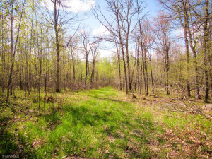 Photo for TBD Cnty 39, Laporte, MN 56461 - Listing #6216308 TBD Cnty 39, Laporte, MN 56461