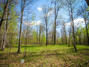 Photo for TBD Cnty 39, Laporte, MN 56461 - Listing #6216308 TBD Cnty 39, Laporte, MN 56461