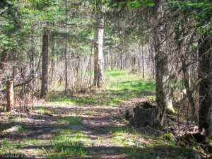 Photo for TBD Cnty 39, Laporte, MN 56461 - Listing #6216308 TBD Cnty 39, Laporte, MN 56461