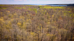 Photo for TBD Cnty 39, Laporte, MN 56461 - Listing #6216308 TBD Cnty 39, Laporte, MN 56461