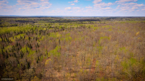 Photo for TBD Cnty 39, Laporte, MN 56461 - Listing #6216308 TBD Cnty 39, Laporte, MN 56461