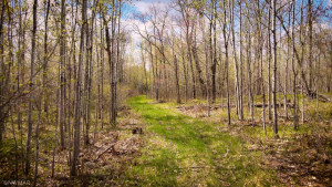 Photo for TBD Cnty 39, Laporte, MN 56461 - Listing #6216308 TBD Cnty 39, Laporte, MN 56461