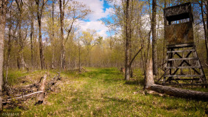Photo for TBD Cnty 39, Laporte, MN 56461 - Listing #6216308 TBD Cnty 39, Laporte, MN 56461