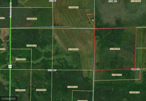 Photo for TBD Sunflower Road, Kelliher, MN 56650 - Listing #6216591 TBD Sunflower Road, Kelliher, MN 56650