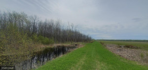 Photo for TBD Sunflower Road, Kelliher, MN 56650 - Listing #6216591 TBD Sunflower Road, Kelliher, MN 56650