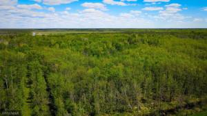 Photo for TBD Sunflower Road, Kelliher, MN 56650 - Listing #6216591 TBD Sunflower Road, Kelliher, MN 56650
