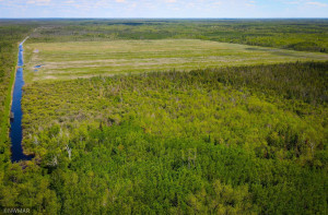 Photo for TBD Sunflower Road, Kelliher, MN 56650 - Listing #6216591 TBD Sunflower Road, Kelliher, MN 56650