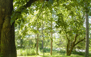 Photo for 24233 Pass Road NE, Hines, MN 56647 - Listing #6015474 24233 Pass Road NE, Hines, MN 56647