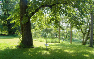 Photo for 24233 Pass Road NE, Hines, MN 56647 - Listing #6015474 24233 Pass Road NE, Hines, MN 56647