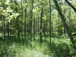 Photo for 27243 Canvasback Drive, Shevlin, MN 56676 - Listing #6223515 27243 Canvasback Drive, Shevlin, MN 56676