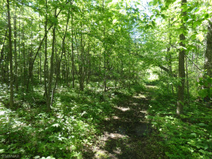 Photo for 27243 Canvasback Drive, Shevlin, MN 56676 - Listing #6223515 27243 Canvasback Drive, Shevlin, MN 56676