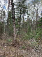 Photo for TBD NONE, Baudette, MN 56623 - Listing #6071313 TBD NONE, Baudette, MN 56623