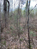 Photo for TBD NONE, Baudette, MN 56623 - Listing #6071313 TBD NONE, Baudette, MN 56623