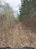 Photo for TBD NONE, Baudette, MN 56623 - Listing #6071313 TBD NONE, Baudette, MN 56623