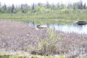 Photo for 16616 Irvine Avenue NW, Bemidji, MN 56601 - Listing #6200530 16616 Irvine Avenue NW, Bemidji, MN 56601