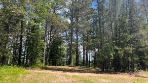Photo for Lot 2 Blk Fair Pines Drive, Akeley, MN 56433 - Listing #6224679 Lot 2 Blk Fair Pines Drive, Akeley, MN 56433