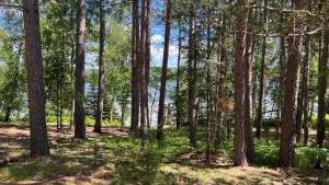Photo for Lot 2 Blk Fair Pines Drive, Akeley, MN 56433 - Listing #6224679 Lot 2 Blk Fair Pines Drive, Akeley, MN 56433