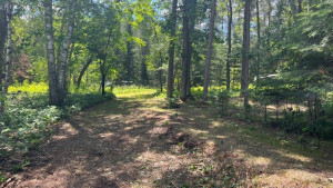 Photo for Lot 2 Blk Fair Pines Drive, Akeley, MN 56433 - Listing #6224679 Lot 2 Blk Fair Pines Drive, Akeley, MN 56433