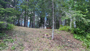 Photo for Lot 2 Blk Fair Pines Drive, Akeley, MN 56433 - Listing #6224679 Lot 2 Blk Fair Pines Drive, Akeley, MN 56433