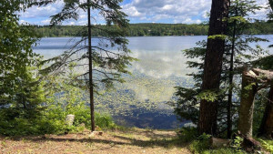 Photo for Lot 2 Blk Fair Pines Drive, Akeley, MN 56433 - Listing #6224679 Lot 2 Blk Fair Pines Drive, Akeley, MN 56433