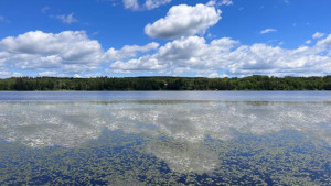 Photo for Lot 2 Blk Fair Pines Drive, Akeley, MN 56433 - Listing #6224679 Lot 2 Blk Fair Pines Drive, Akeley, MN 56433