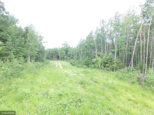 Photo for TBD Lost Oaks Drive SE, Cass Lake, MN 56633 - Listing #6222758 TBD Lost Oaks Drive SE, Cass Lake, MN 56633