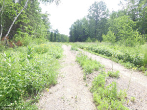Photo for TBD Lost Oaks Drive SE, Cass Lake, MN 56633 - Listing #6222758 TBD Lost Oaks Drive SE, Cass Lake, MN 56633